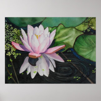 Zen Lilly Poster