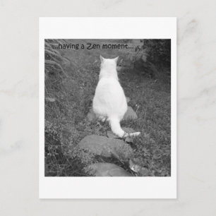 Zen-Moment Postkarte