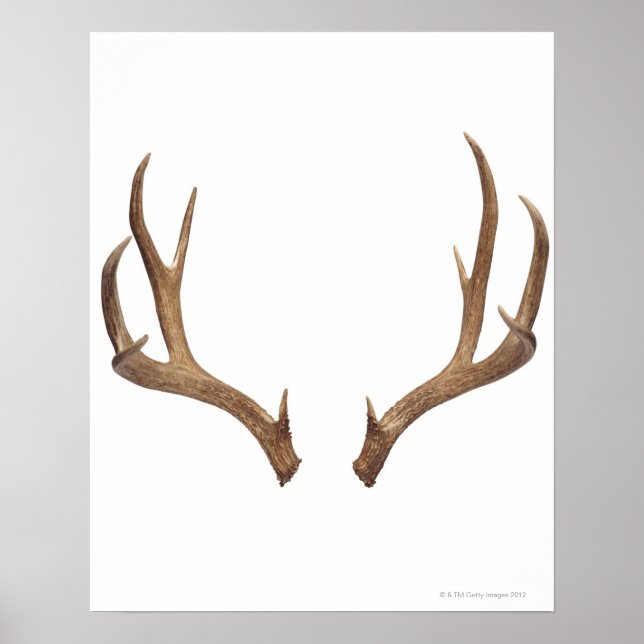 Zen Point Deer Poster (Vorne)