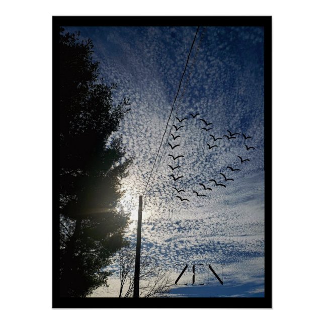 ZEN POSTER (Vorderseite)