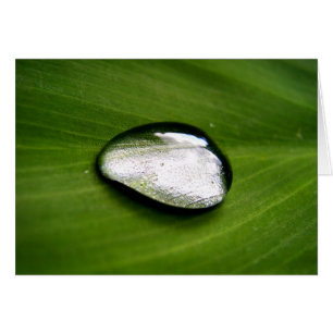 Zen-Regenfallkarte
