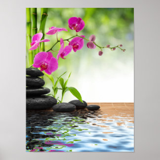 Zen,Ruhe,rosa orchid,schön,Wellness-Center,Heilung Poster