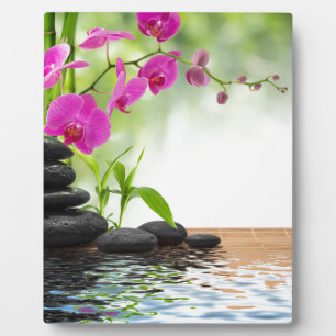 Zen,Ruhe,rosa Orchidee,schön,Wellness-Center,Heilu Fotoplatte