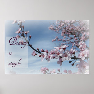 Zen Schönheit ist einfaches Kirschblüten-Plakat Poster