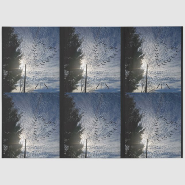 ZEN SEIDENPAPIER (Vorderseite)