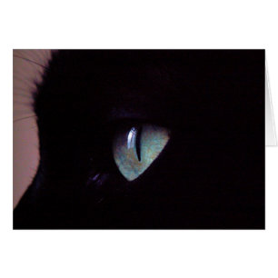 Zen superbe de Salsa