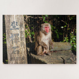Zen-Tempel Monkey Arashiyama Kyoto Japan