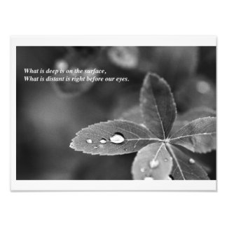 Zen und Taoist Mindfulness Meditation Fotografie