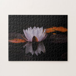 Zen White Lotus Blume