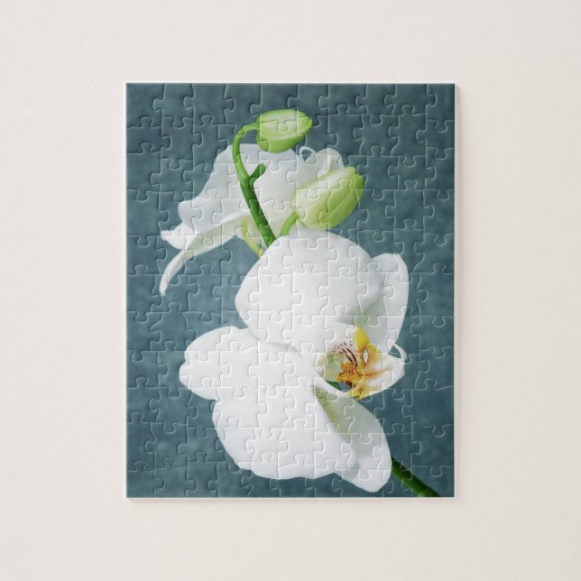 Zen White Orchid Blume (Vertikal)