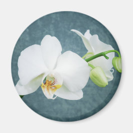Zen White Orchid Blume Magnet