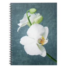 Zen White Orchid Blume Notizblock