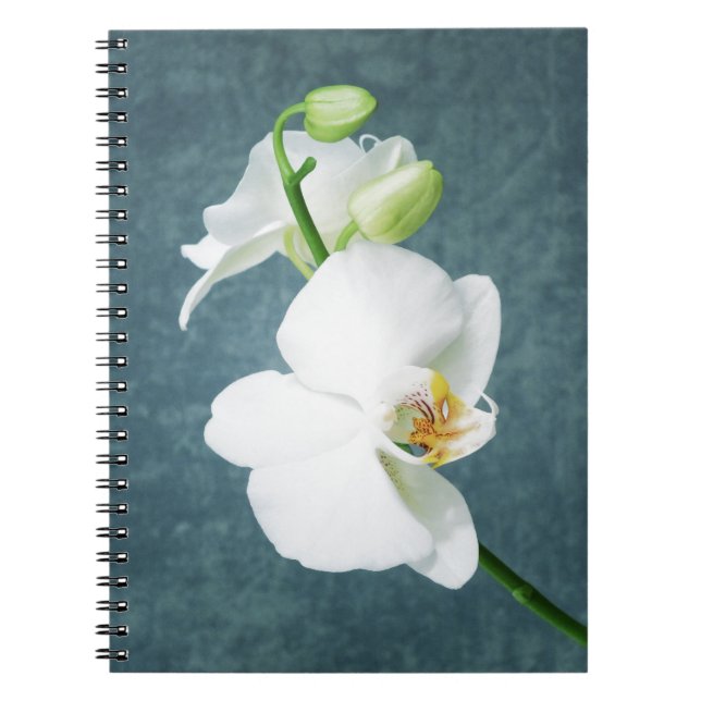 Zen White Orchid Blume Notizblock (Vorderseite)
