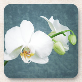 Zen White Orchid Blume Untersetzer