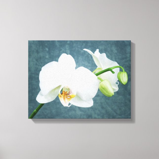 Zen White Orchid Leinwanddruck (Vorderseite)