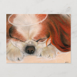 Zender Heart Angel Puppy Postkarte