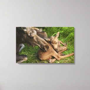 Zender Mother Moose Leinwanddruck
