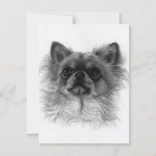 Zender Soul - Handgemalt Chihuahua Postkarte