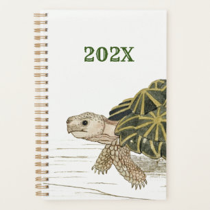 Zent Tortoise Schildkrötenstrasse Tier Jigsaw Planer