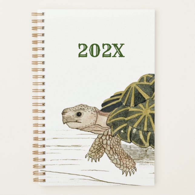 Zent Tortoise | Schildkrötenstrasse Tier Jigsaw Planer (Vorderseite)