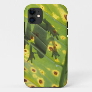 ZENTRALAMERIKA, Costa Rica, Gegenlicht-Frosch auf Case-Mate iPhone Hülle