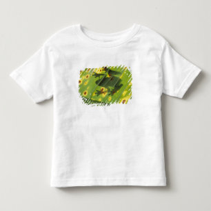 ZENTRALAMERIKA, Costa Rica, Gegenlichtfrosch auf Kleinkind T-shirt