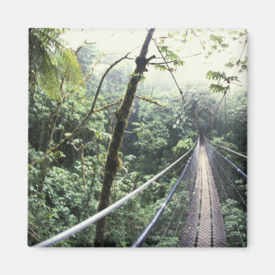 Zentralamerika, Costa Rica, Monteverde Cloud Magnet