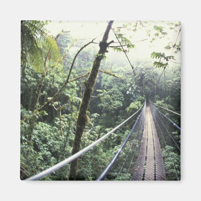 Zentralamerika, Costa Rica, Monteverde Cloud Magnet (Vorne)