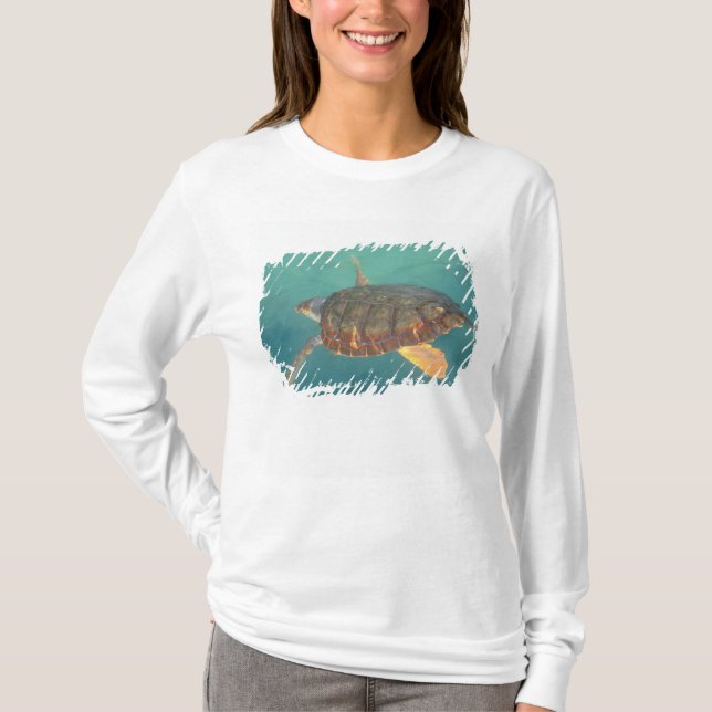 Zentralamerika, Panama, Bocas del Torro T-Shirt (Vorderseite)