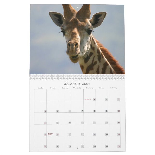 Zentrale, afrikanischer Tierostkalender - Kalender (Jan 2026)