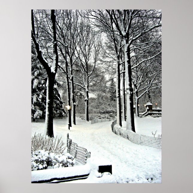 Zentralpark 2010 Schnee - CIMG6446 Poster (Vorne)