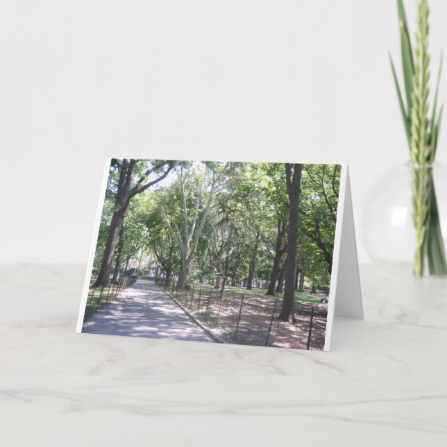 Zentralpark Karte (Vorderseite)