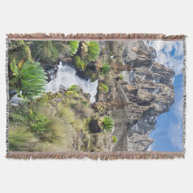 Zentralpark Mount Kenya Decke (Vorderseite)