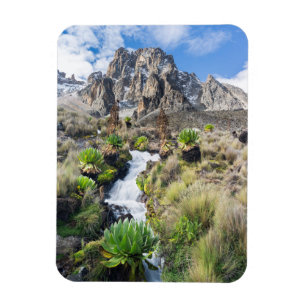 Zentralpark Mount Kenya Magnet