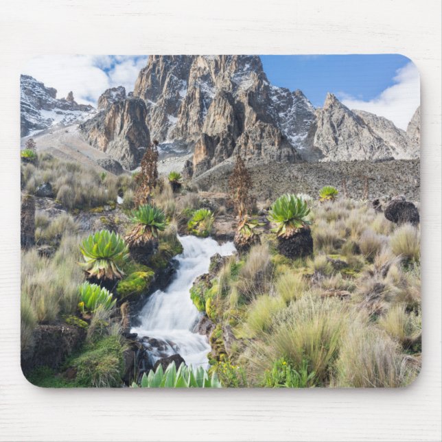 Zentralpark Mount Kenya Mousepad (Vorne)