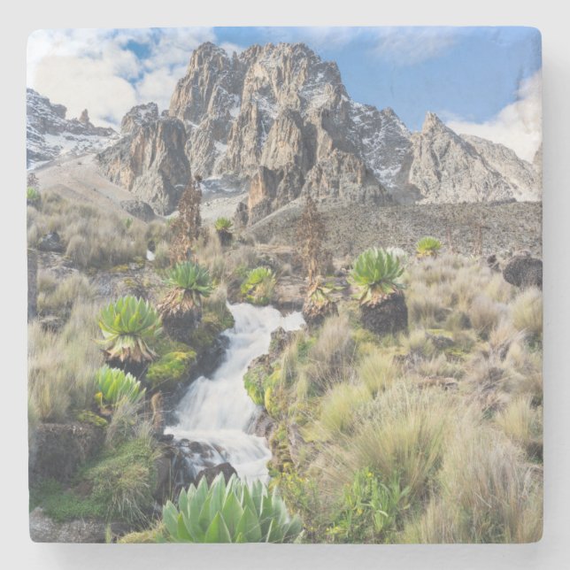 Zentralpark Mount Kenya Steinuntersetzer (Vorderseite)