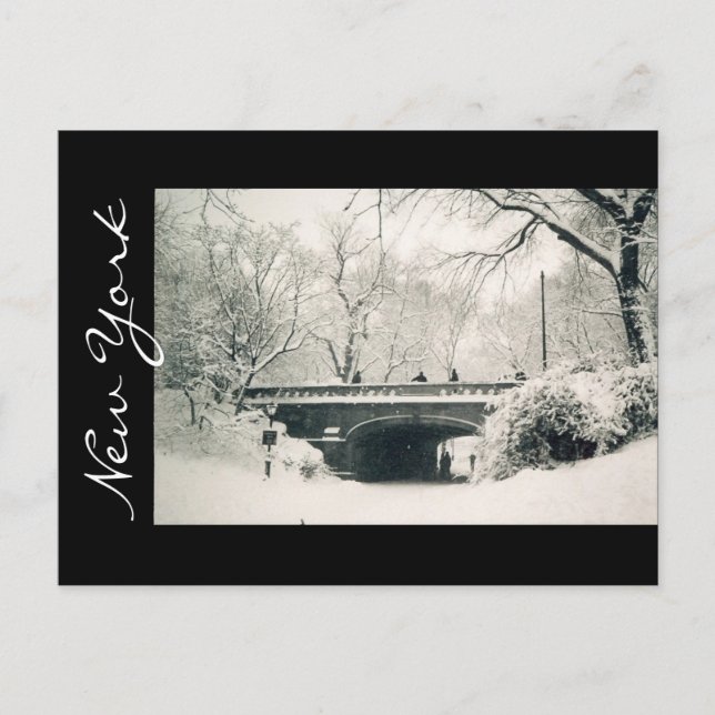 Zentralpark New York Postkarte (Vorderseite)