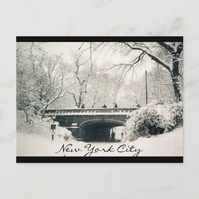 Zentralpark nyc postkarte (Vorderseite)