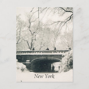 Zentralschneeweiß Postkarte