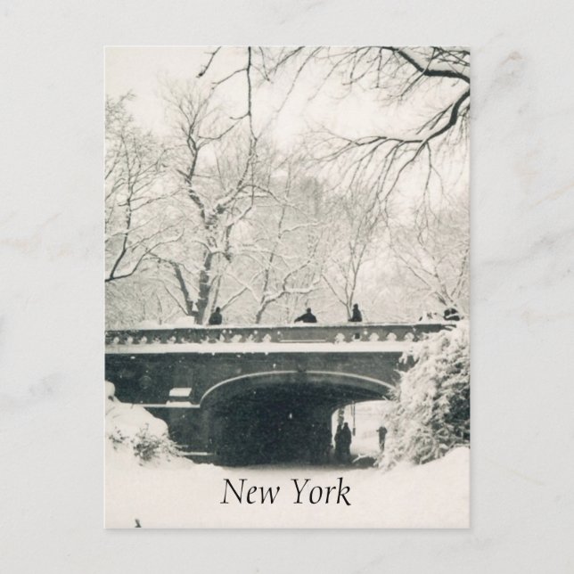 Zentralschneeweiß Postkarte (Vorderseite)