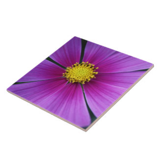 Zentrum der Kosmos-Tile Fliese