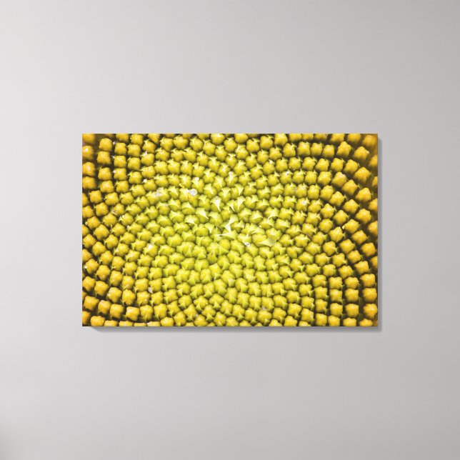 Zentrum der Riesenblume (Helianthus annuus) Leinwanddruck (Vorderseite)