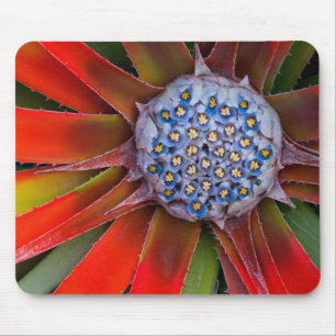 Zentrum einer blühenden Agave - San Francisco Mousepad