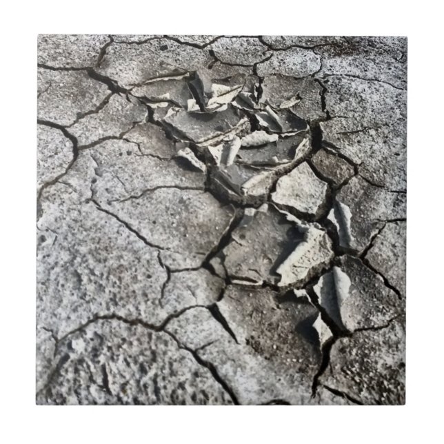 Zerbrochene Erde Fliese (Vorderseite)