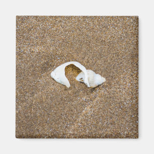 Zerbrochene Muschel Kühlschrankmagnet