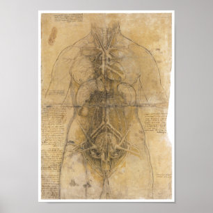 Zerlegung der Organe einer Frau, Da Vinci Poster