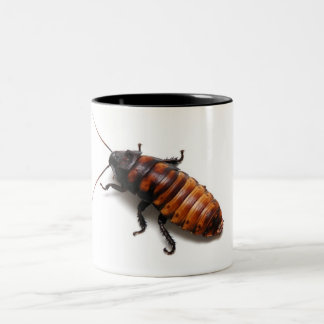 Zerquetschen des Hissers Zweifarbige Tasse