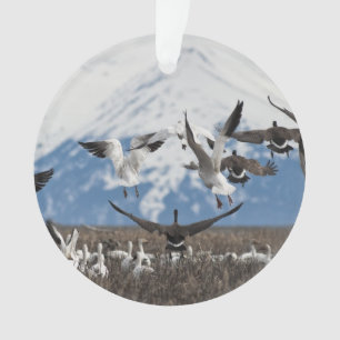Zerstreuen der Gänse Ornament