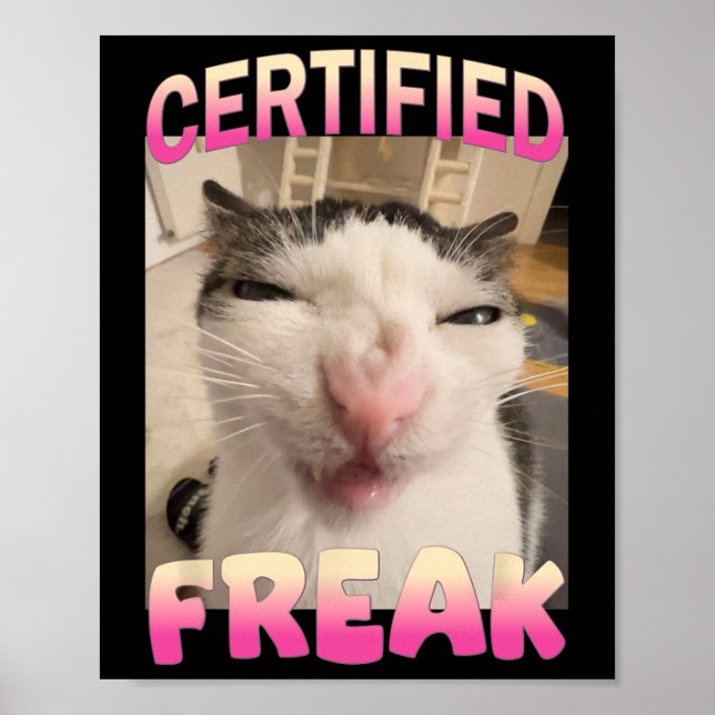 Zertifizierte Freak Cat Meme Offensive Memes Funny Poster (Vorne)
