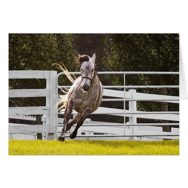 Zest for Life (Devant horizontal)